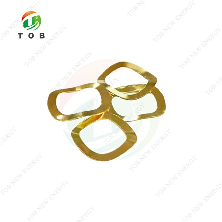 Gold-coat Coin Cell Cases